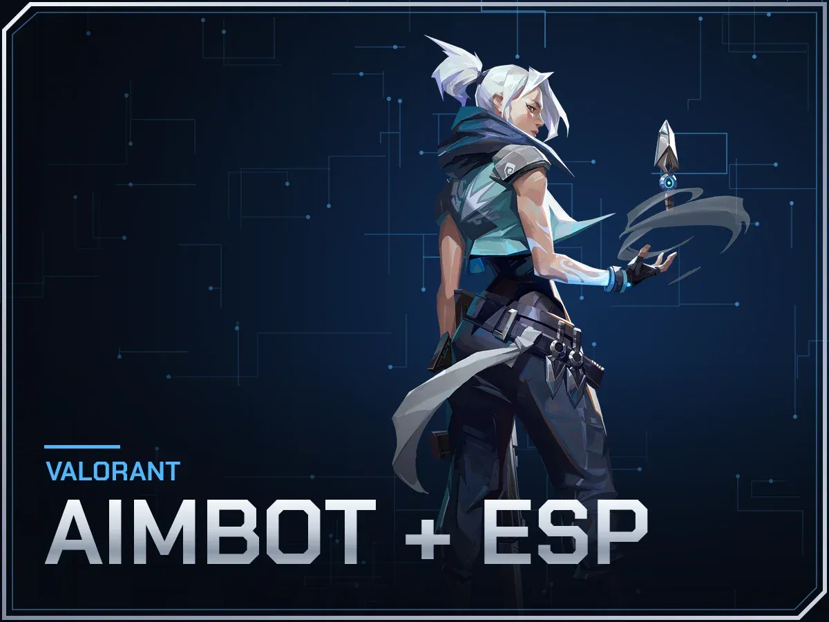 Valorant Aimbot + ESP