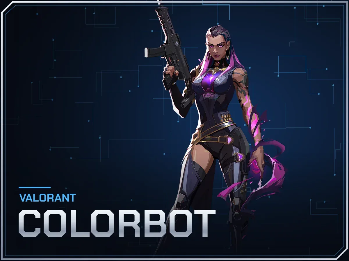 Valorant Colorbot